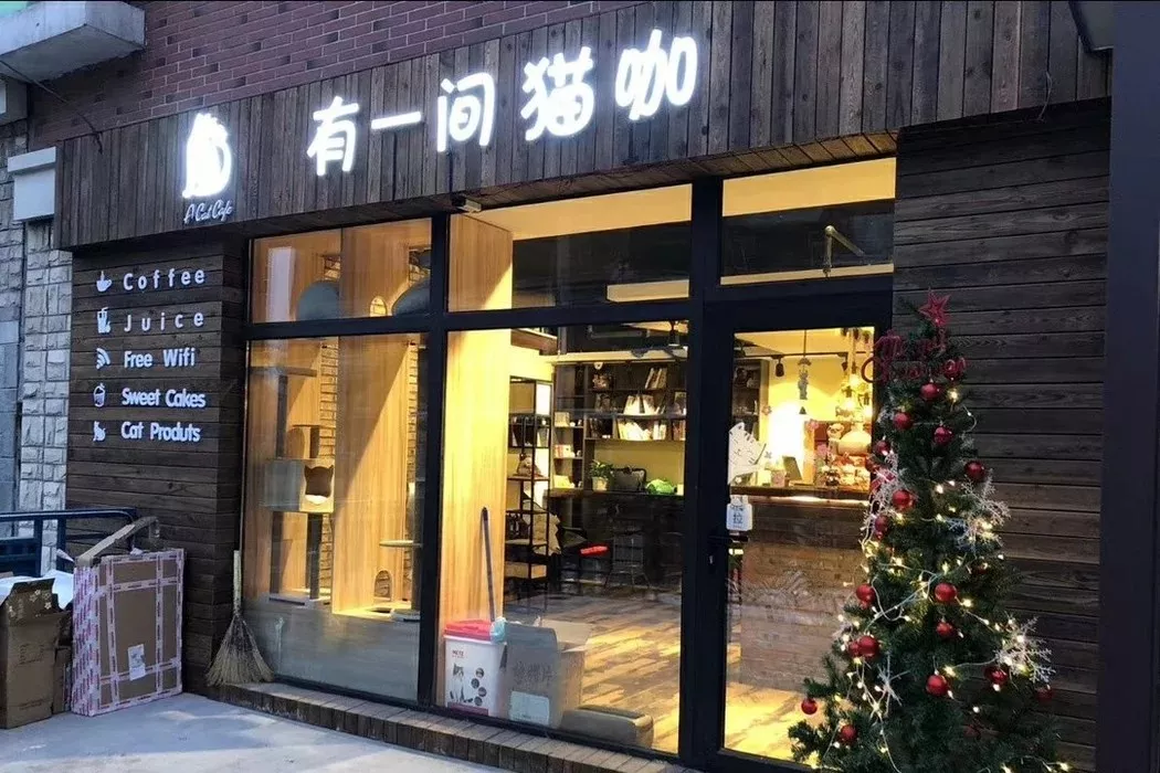 猫咖店面设计图片