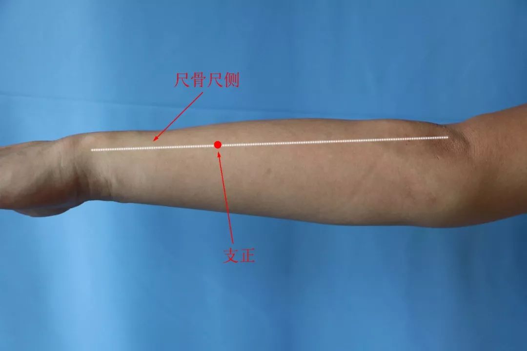⑥ 络穴:支正定位:在前臂背面尺侧,当阳谷与小海的连线上,腕背横纹上5