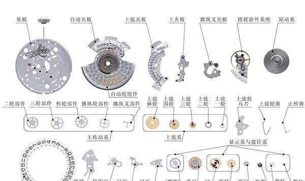 手表的结构示意图图片