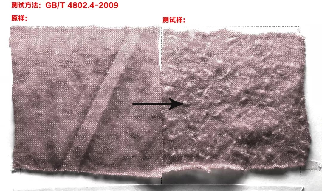 和试验参数,采用尼龙刷和织物磨料或仅用织物磨料,使试样摩擦起毛起球