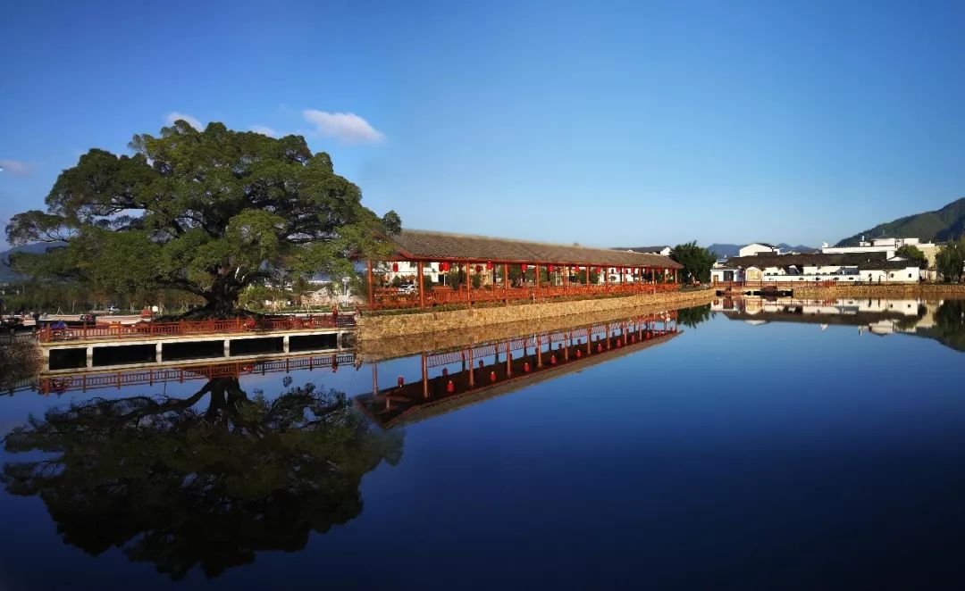 龍南縣正桂美麗鄉村,全南縣沙壩仔神農文化園,贛縣祥雲湖紫薇小鎮等4