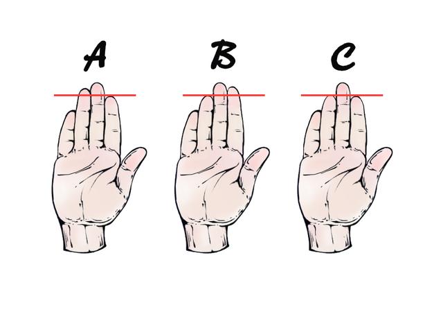 ▼ps:无论男女都以右手为准对比食指和无名指的长度伸出右手,并拢五指