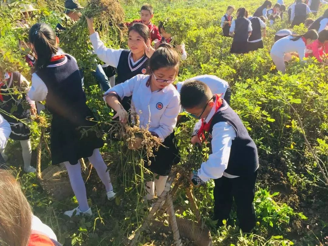 杨成武将军故居研学实践教育基地迎来了第一批研学学生龙岩市松涛小学