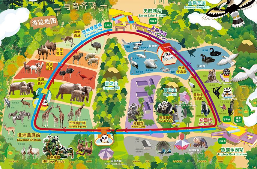 长隆野生动物园路线图图片