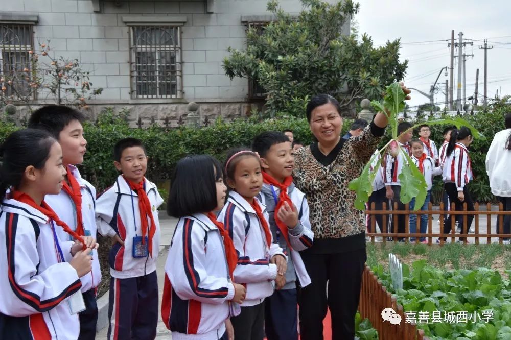 嘉善县城西小学图片