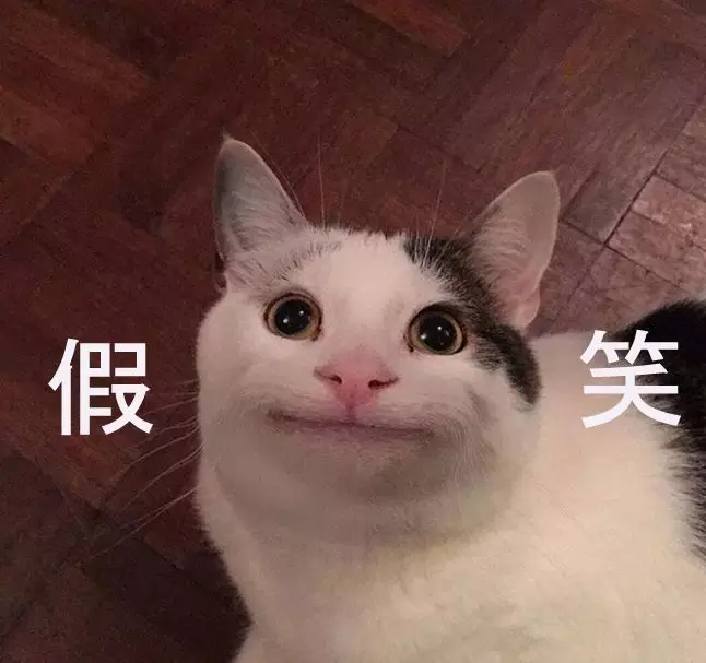 粉丝节倒计时寻找职业假笑猫真有这样的猫吗你不要骗我