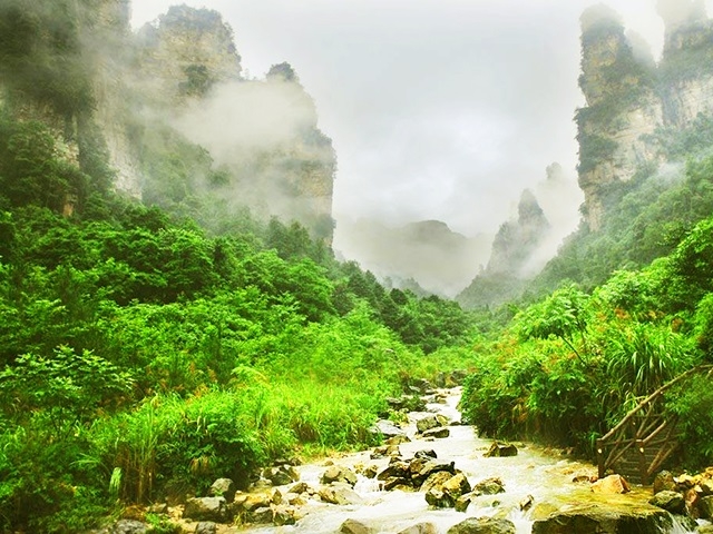 杨家界境内奇峰千座,溪涧纵横,泉瀑处处,潭水幽幽,揽张家界仰视和