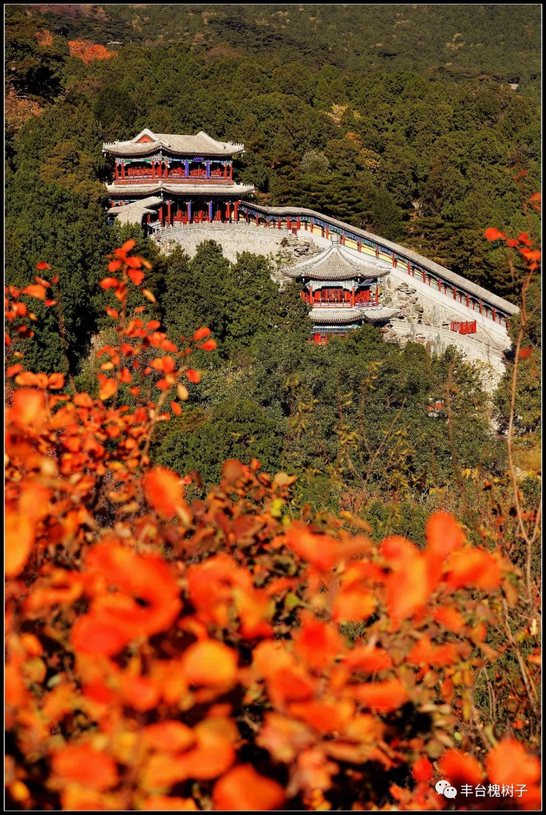 香山寺秋色