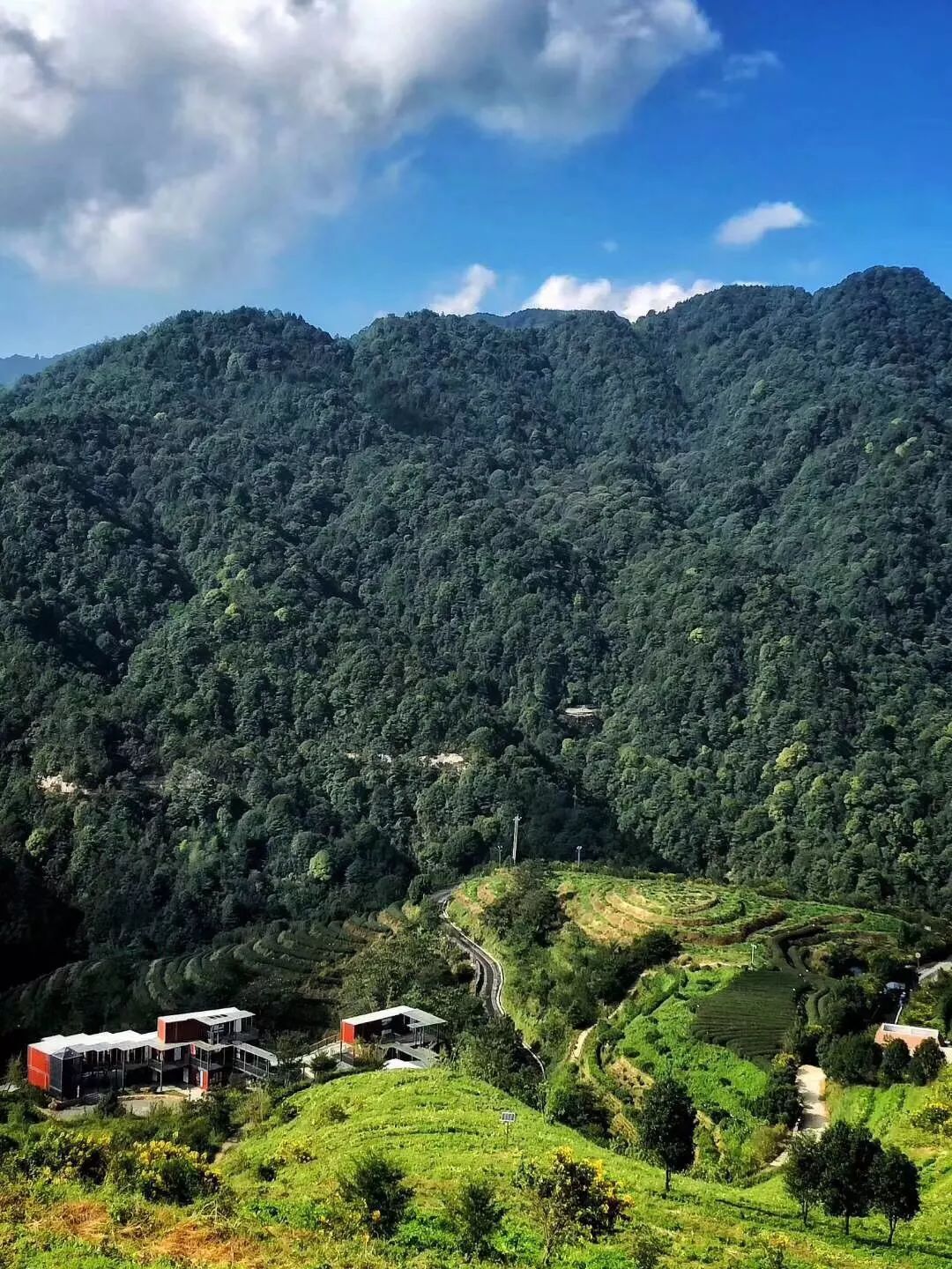 平和高峰谷简介图片