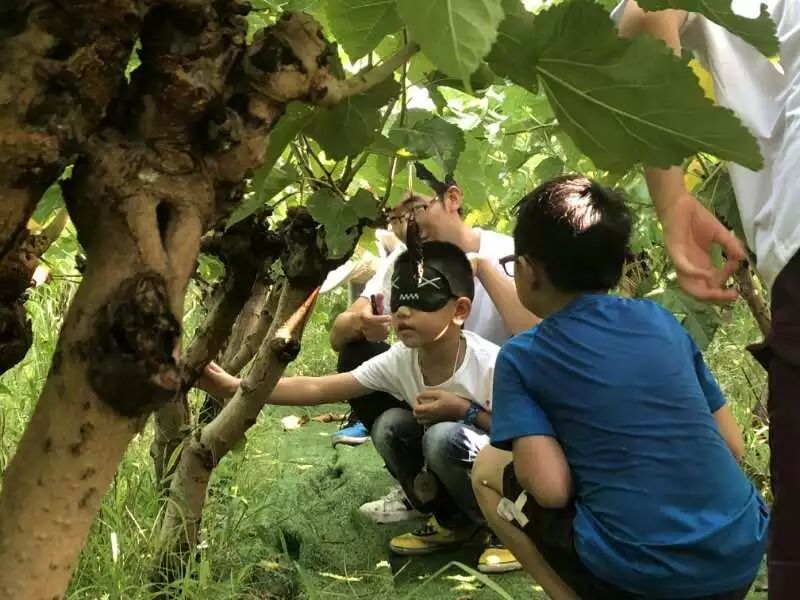 如《林间最后一位小孩》中所描绘,现代城市儿童与大自然的完全割裂.