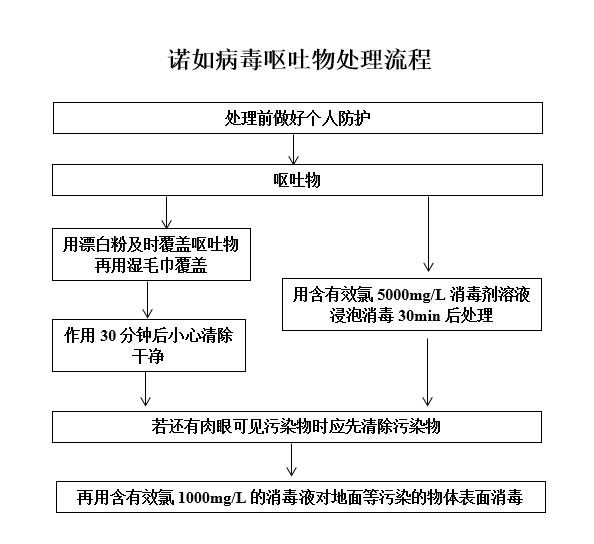 诺如病毒消毒方法图片