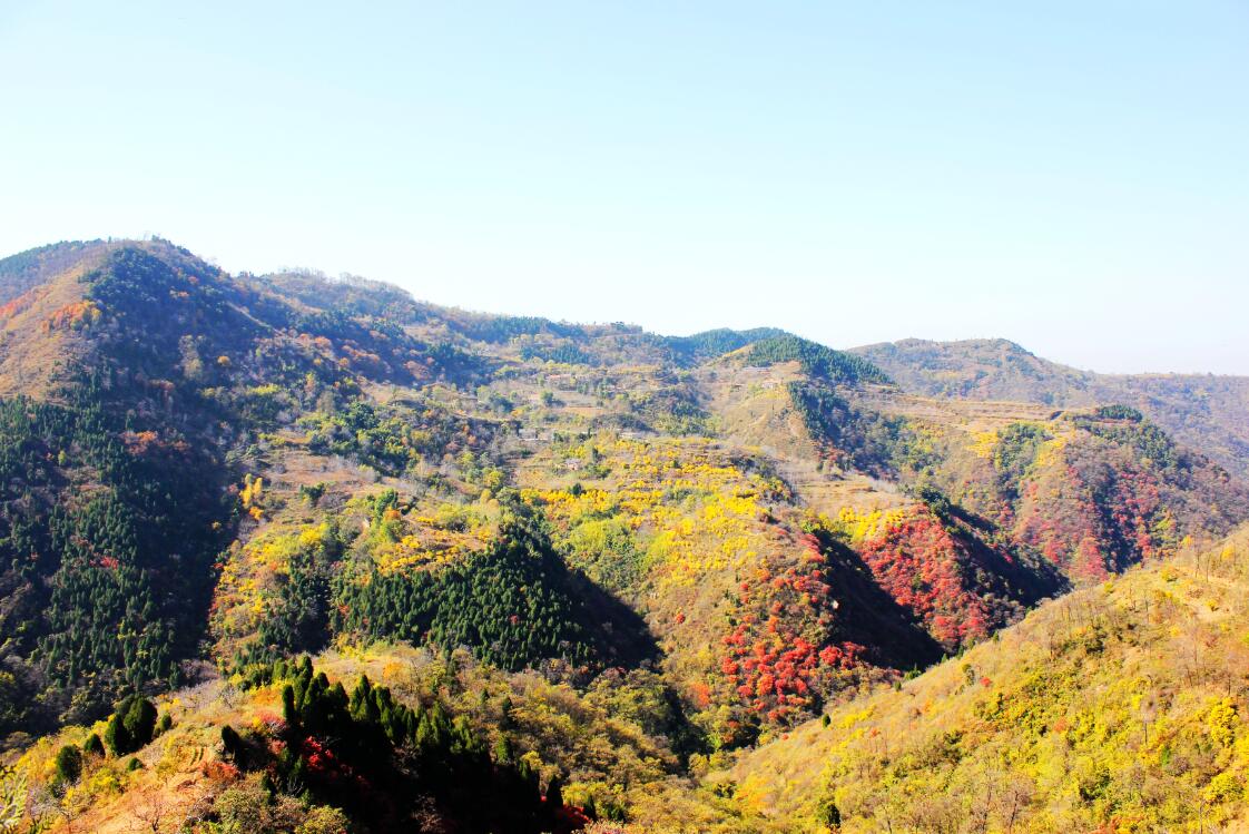 臨潼:層林盡染驪山繡 五彩斑斕秋意濃