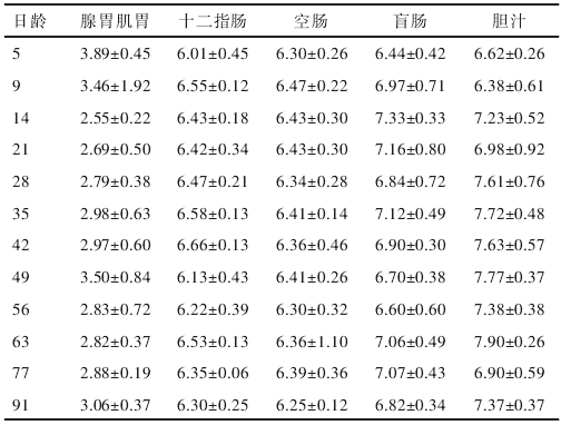 新海兰灰体重一览表图片