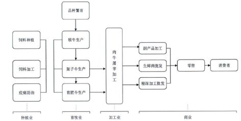 肉牛产业链示意图依据牛肉生产加工的技术经济流程形成的一条由多个