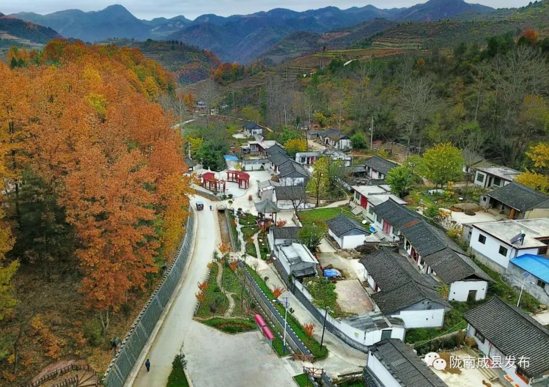 深秋的成县陈院镇马坝村,漫山黄叶,五彩斑斓,分外迷人,仿佛进入了一幅