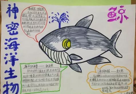 的中国海 青岛南京路小学海洋教育系列活动——海洋知识手抄报分享会