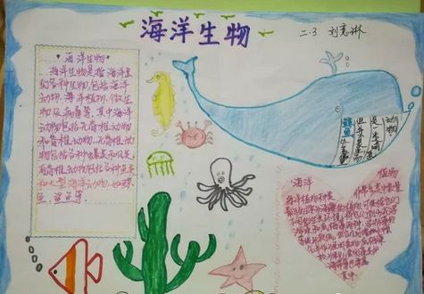 的中国海 青岛南京路小学海洋教育系列活动——海洋知识手抄报分享会