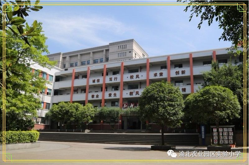 宝圣湖小学图片