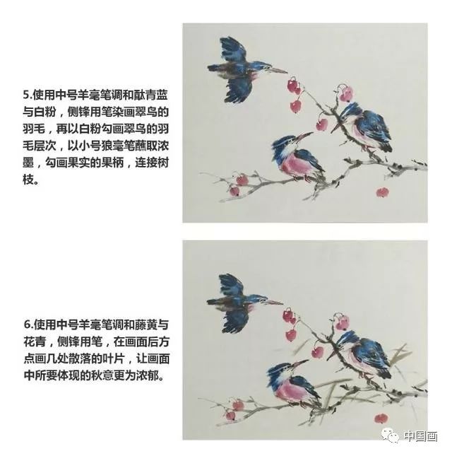 國畫教程:寫意禽鳥之翠鳥的畫法,書畫愛好者必備