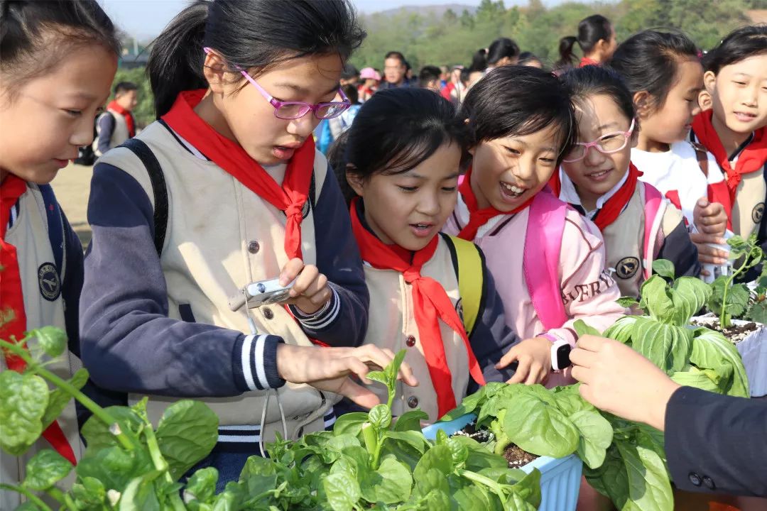 江寧區中小學生溪田生態農業園科普教育之行活動播報~_同學