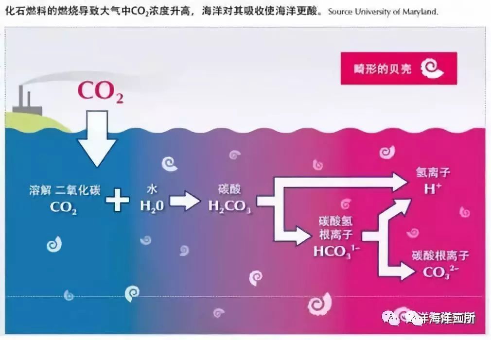 等您加入全球海洋酸化观测网第四届国际研讨会