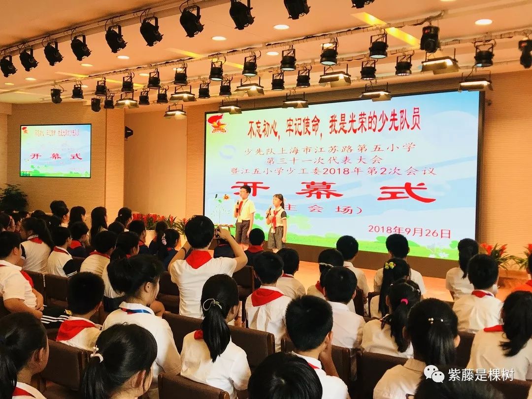 "不忘初心,牢记使命,我是光荣的少先队员"江五小学第31届少代会全记录