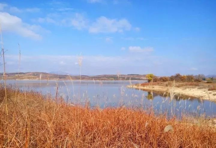 龍角山水庫子曰:不時不食.