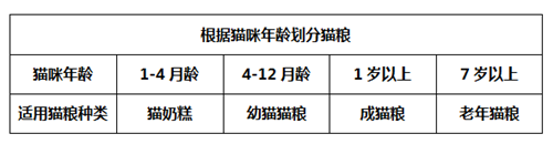 別把換貓糧不當回事,如操作不當貓咪輕則食慾不振,重則致命!