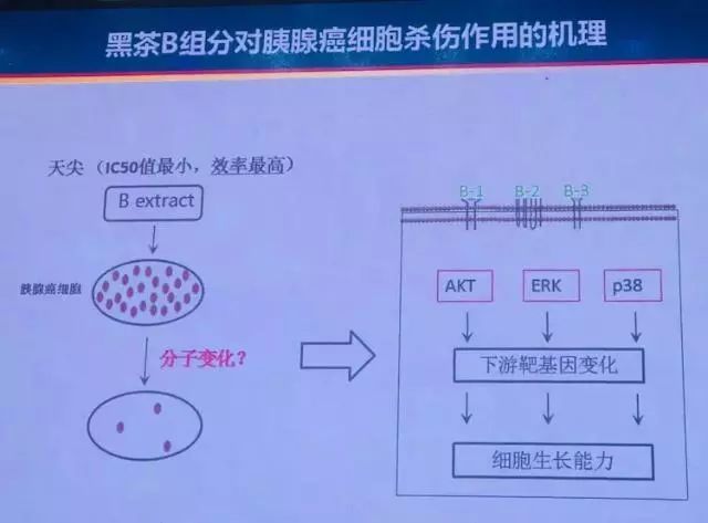 安化黑茶成分检测报告图片