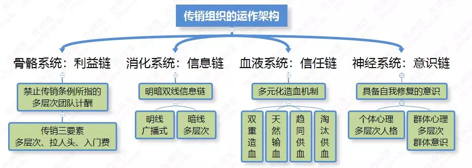 传销组织架构图片