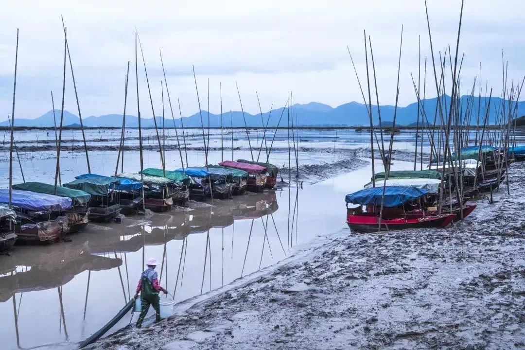 花桥栅下s湾没有一个爱美者不点赞的耕海牧渔摄影地