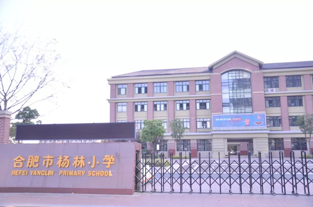 回顾【众志成城二十载 热血汇聚中华情】走进合肥市杨林小学