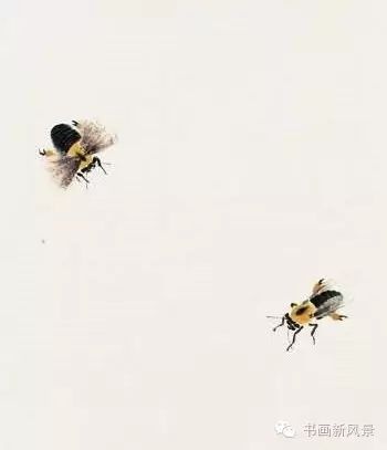 国画小蜜蜂的画法图片