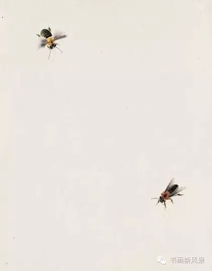 看了齐白石画的小蜜蜂和马蜂,真是服啦!