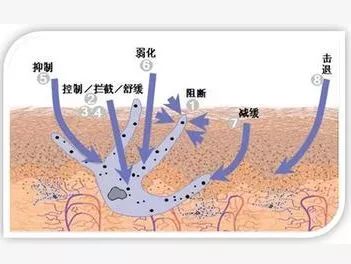 揭秘丨風靡護膚界的煙酰胺和神經酰胺到底是什麼?_皮膚