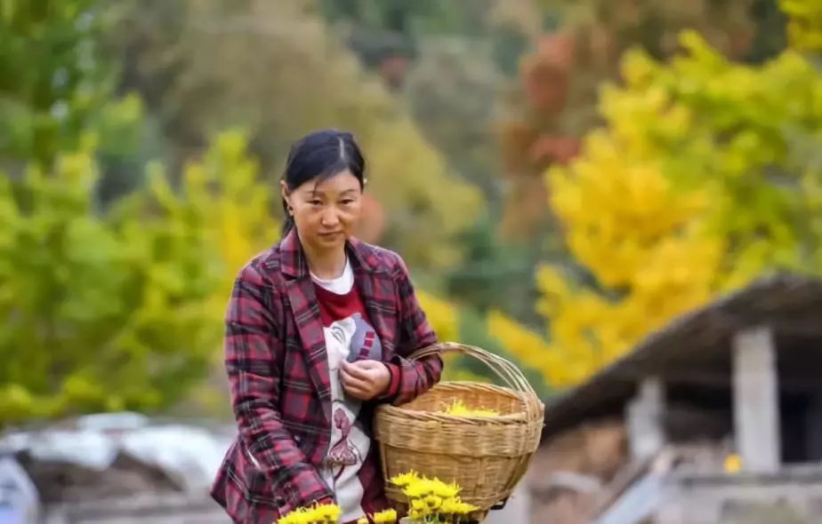 这个略阳女人,真厉害了!你叫的出她名字吗?