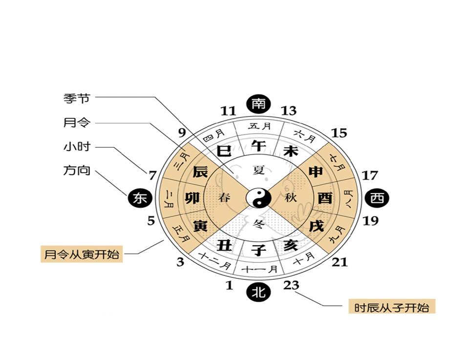 八字算命步骤详解图片