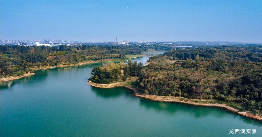 2022年龙窝湖湿地公园图片