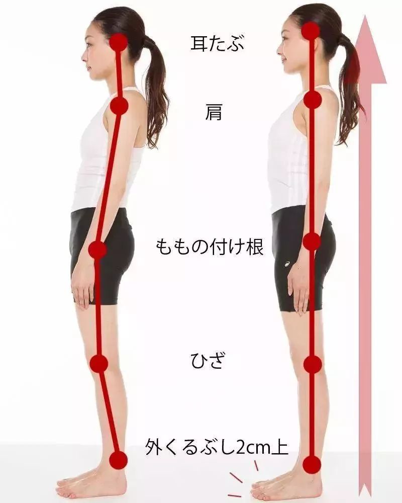 日本女生都在用的腿型矫正神器不完美腿型也能实现逆袭