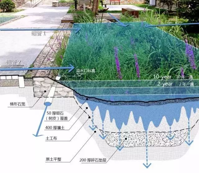 【大微技术贴】海绵城市技术的首次运用—西昌市望海公园
