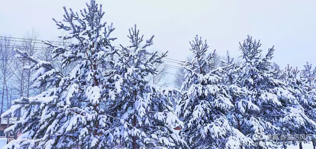 文學驛站漫天雪花飄飄灑灑作者許放