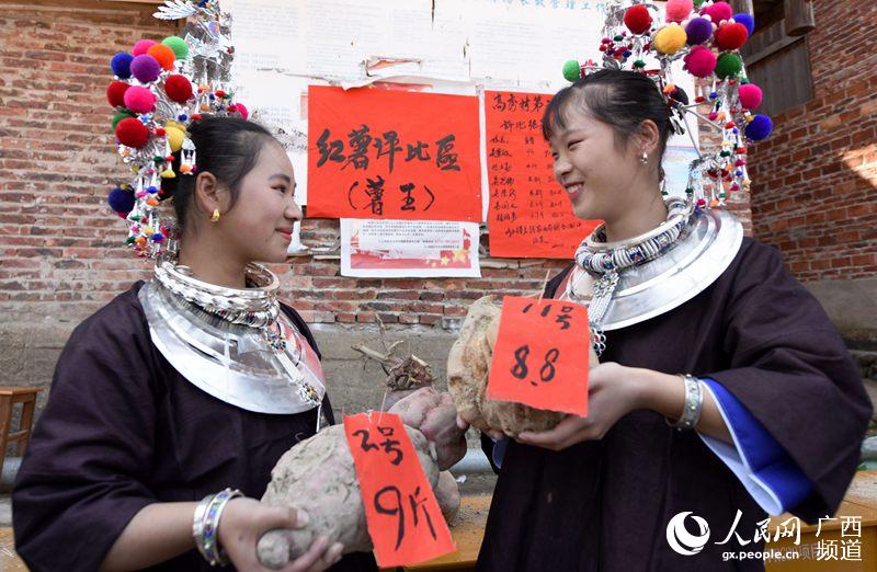 11月3日,两名女孩在三江侗族自治县林溪镇高秀村展示红薯王龚普康/摄