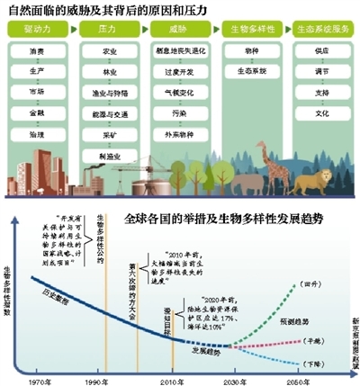 野生动物灭绝数据图表图片