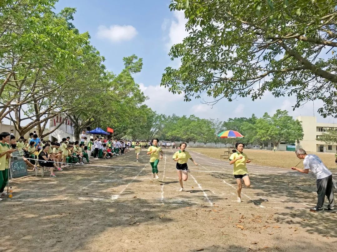 台山新宁中学跑道图片