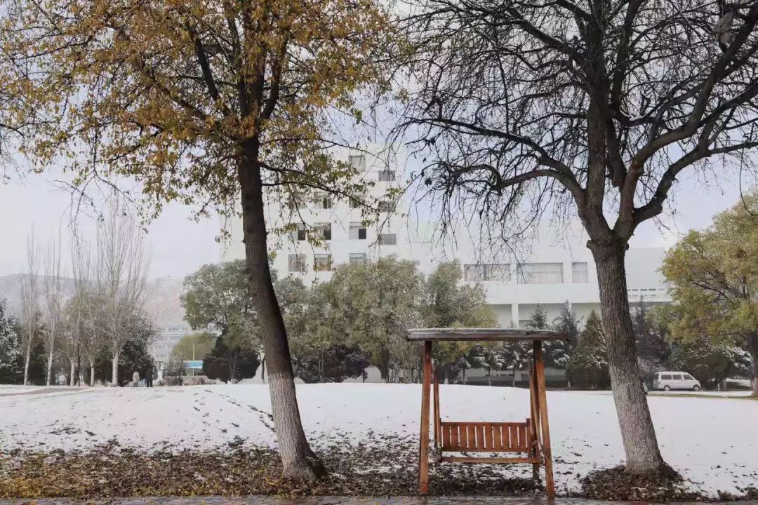 唯美雪景今天,一起隨小蘭來聽雪落下的聲音一覺醒來,榆中校區早已銀裝