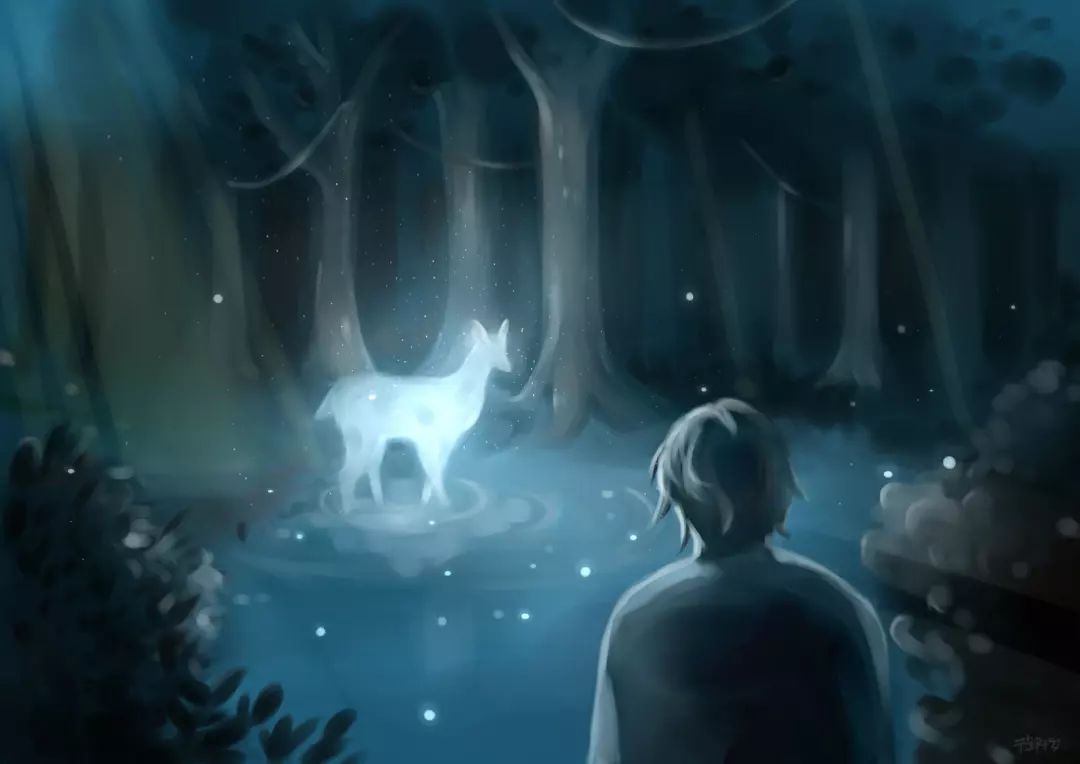 哈利在禁林的湖边,发射守护神咒解救布莱克是电影里的经典镜头其实