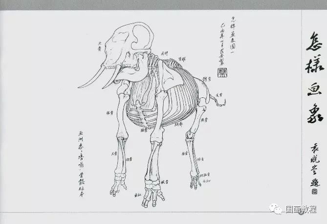 国画大象的画法终于了解它结构了