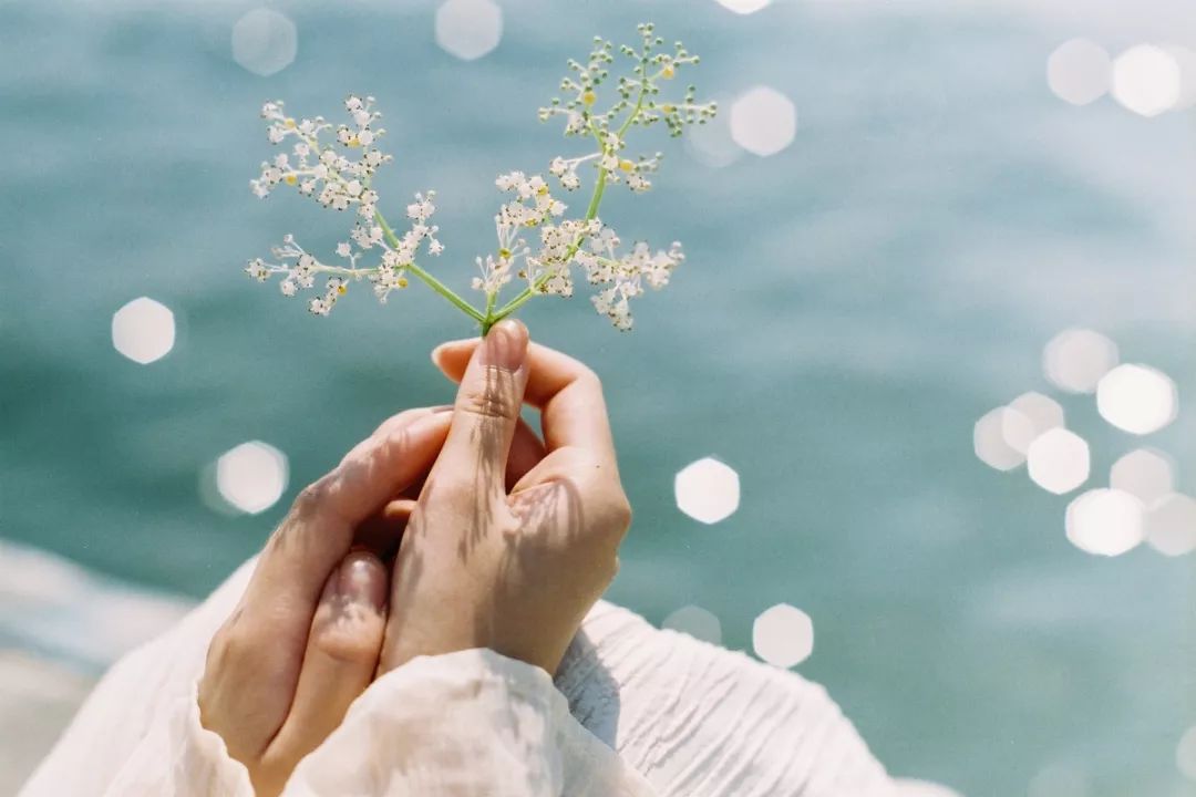 沉澱自己,是最好的昇華