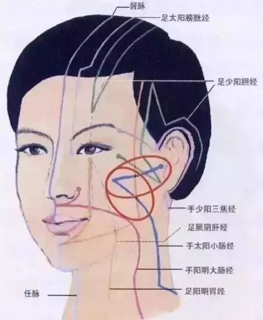 面部长斑的反射区图片