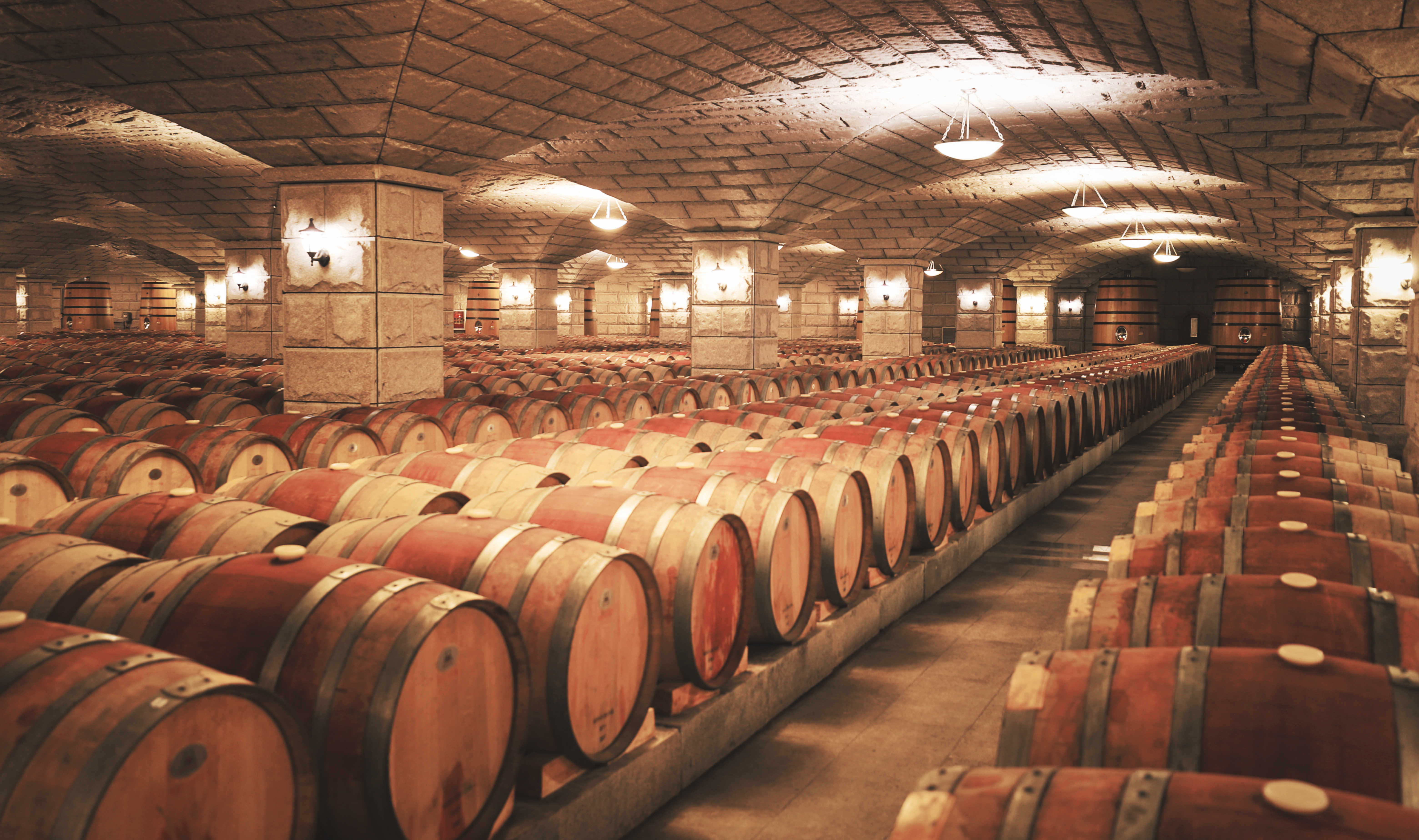 紫轩葡萄酒庄园酒窖 摄影 / xiao漫步在酒窖里无疑增加了整个品酒体验